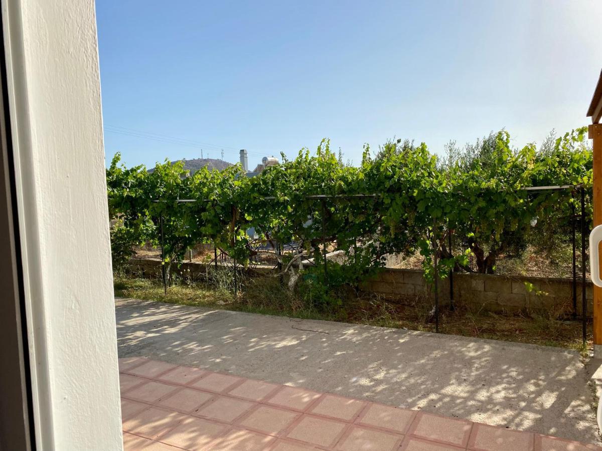 Zipárion Family Friendly Apartment, In Nature, With Yard "5" מראה חיצוני תמונה